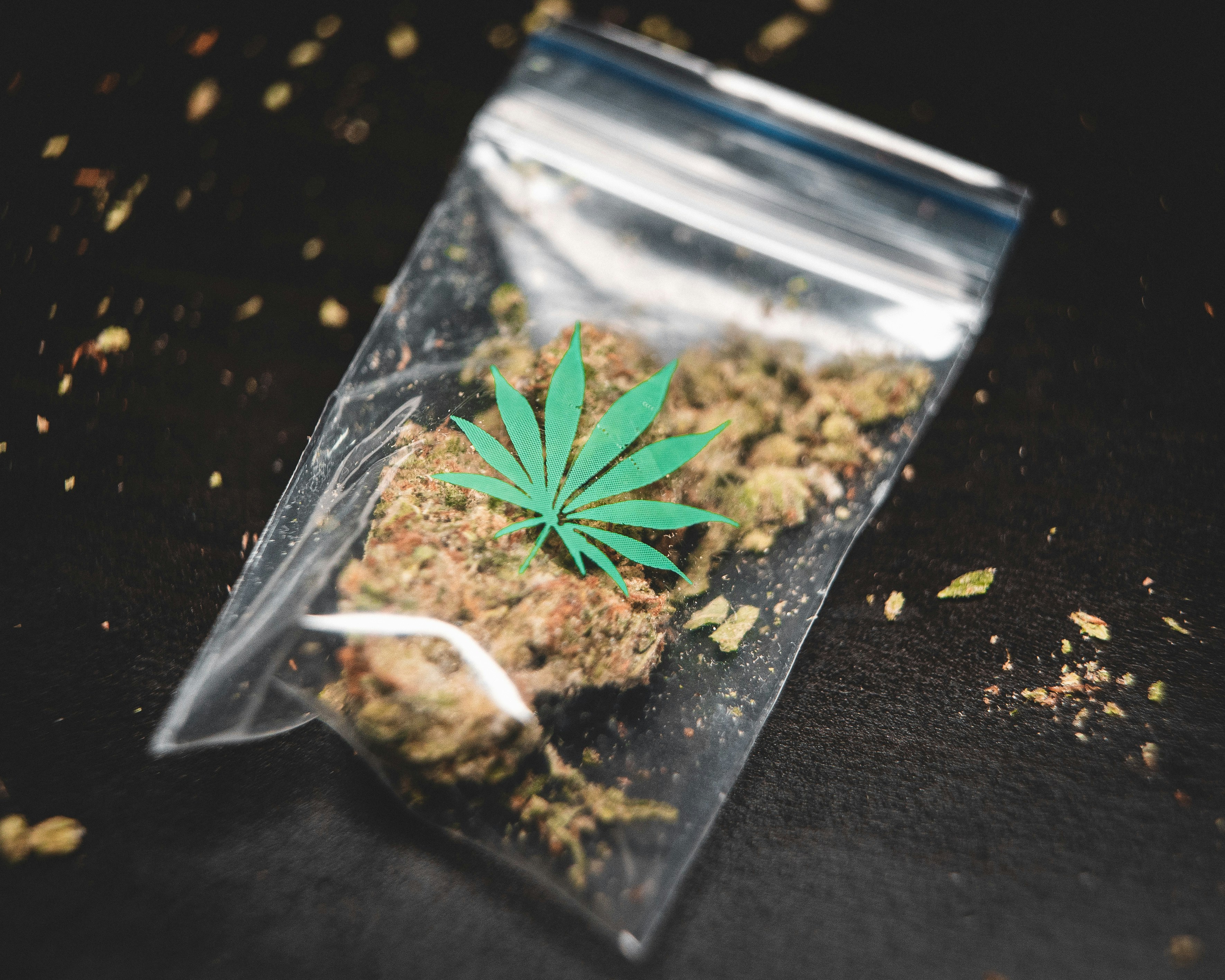 Marijuana inside a small plastic bag with a marijuana leaf logo in green on the front