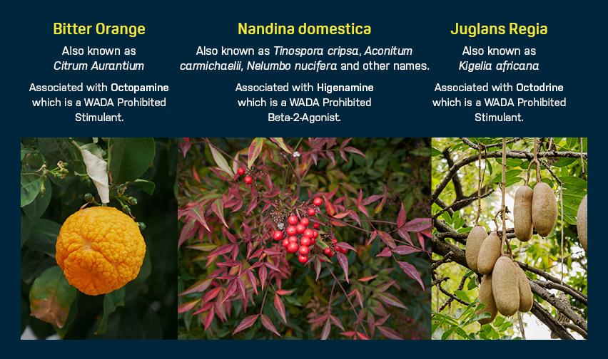Natural doesn't mean safe - botanicals used in supplements and medications