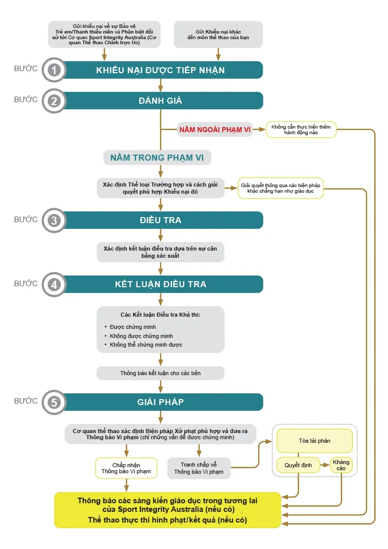 complaints flow chart vietnamese