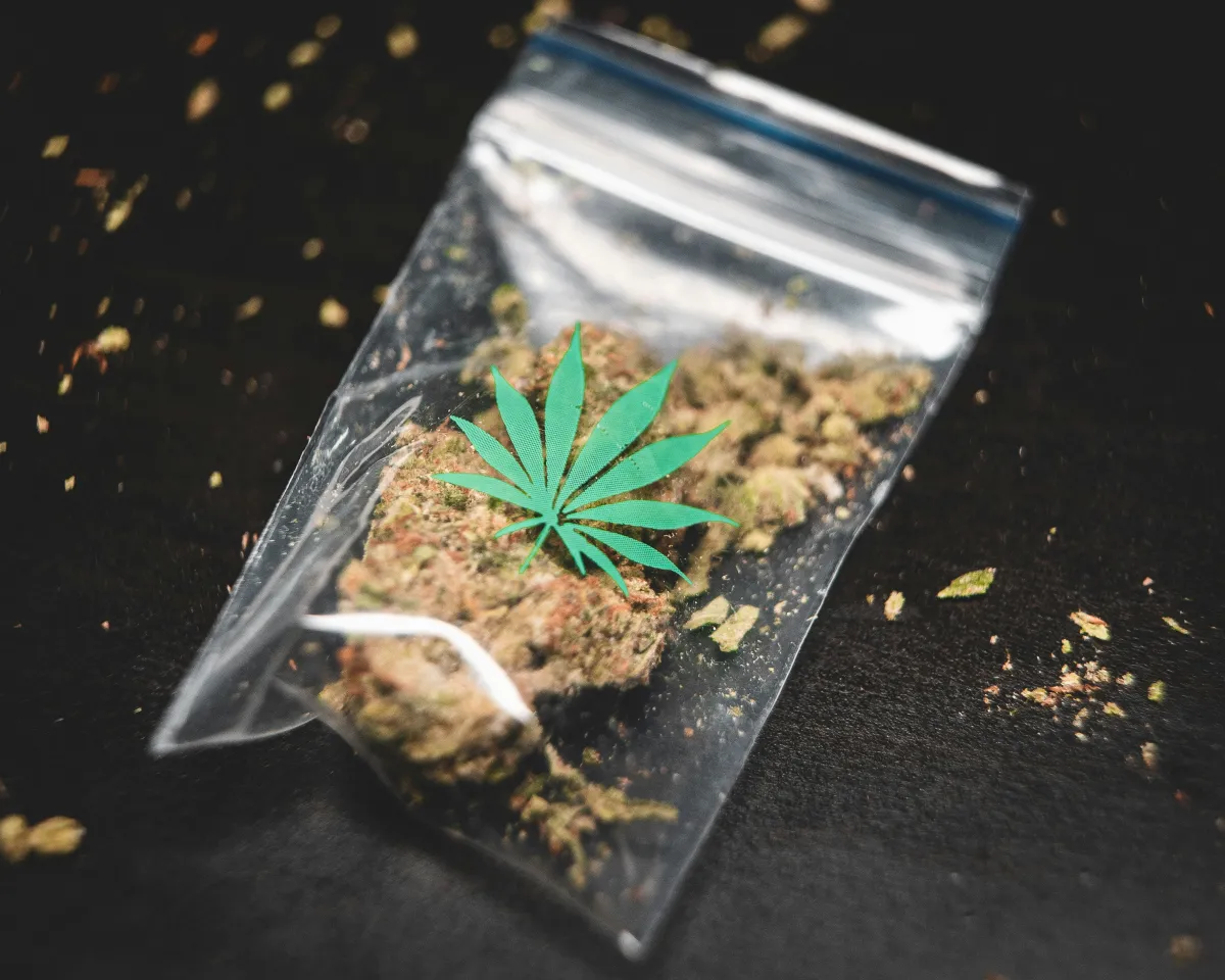 Marijuana inside a small plastic bag with a marijuana leaf logo in green on the front