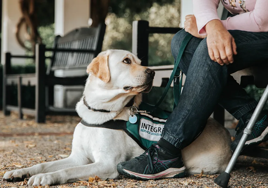 Integra Dogs Australia