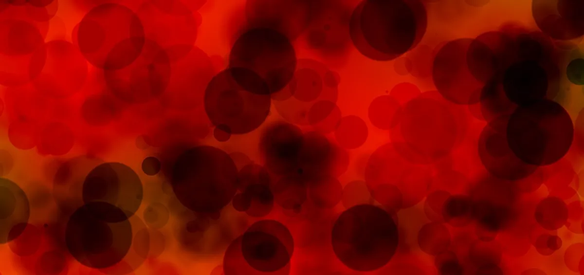Plasma and red blood cells magnified